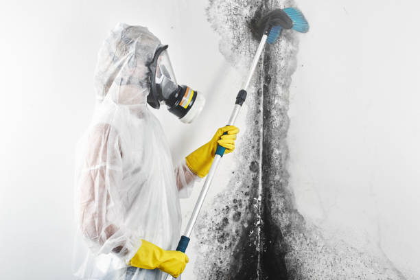 Best Biohazard Mold Removal  in Center, CO