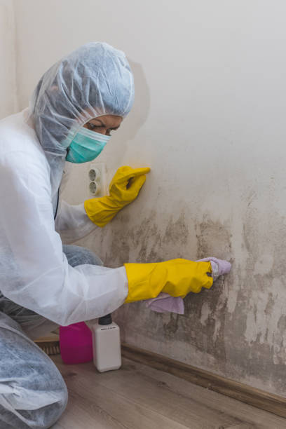 Best Airborne Mold Testing  in Center, CO