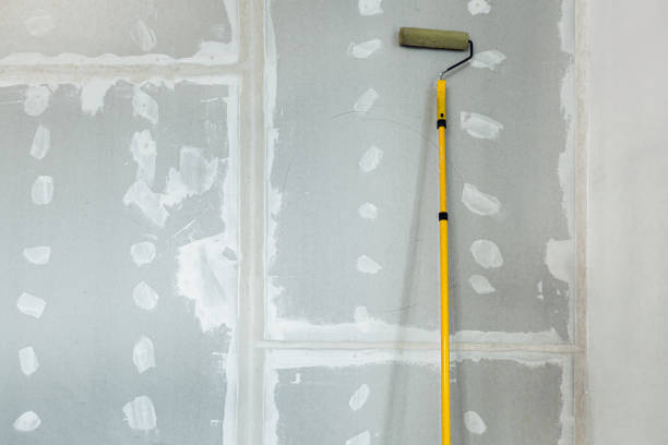 Biohazard Mold Removal in Center, CO
