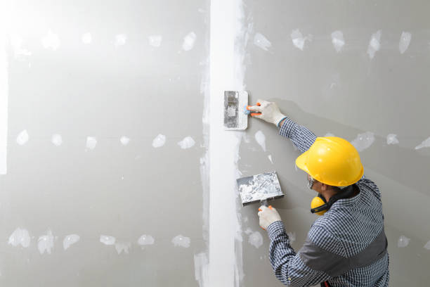Best Basement Mold Removal  in Center, CO
