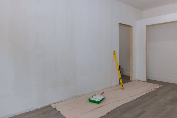 Mold Odor Removal Services in Center, CO