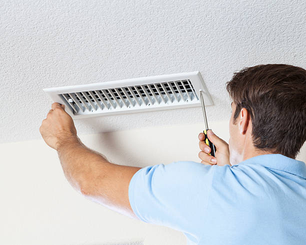 Center, CO Mold Removal Company