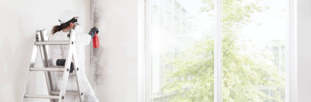 Best Indoor Air Quality Assessment  in Center, CO